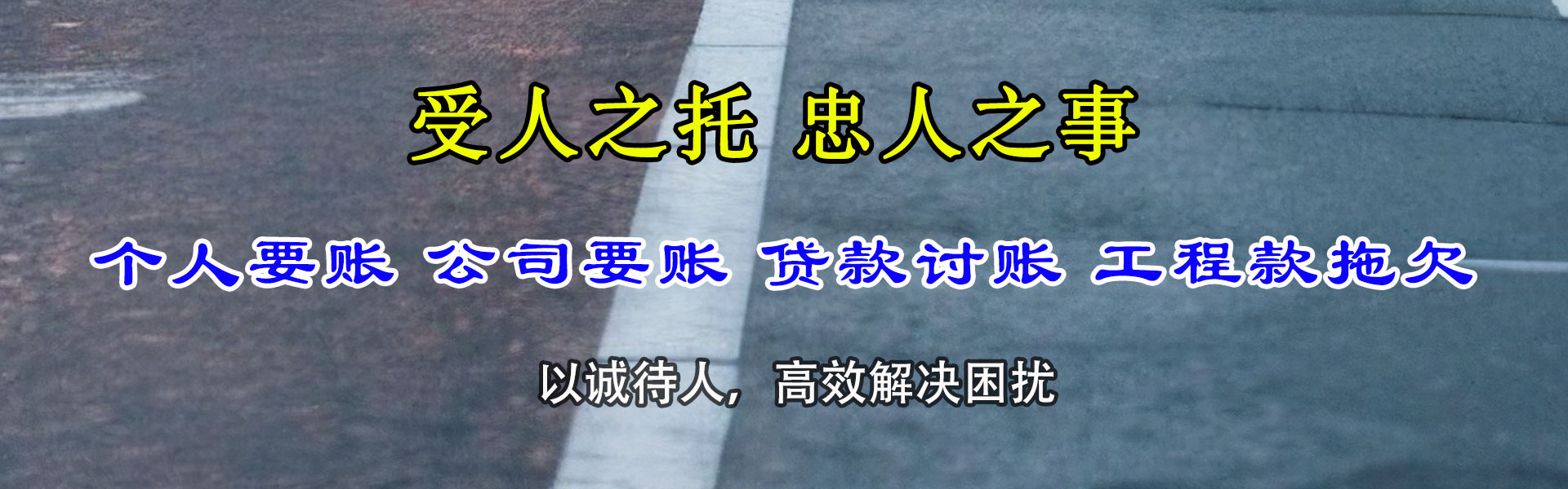 射阳要数公司